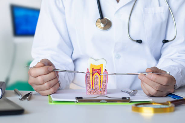 Best 24-Hour Emergency Dentist in Venetian Vlage, IL
